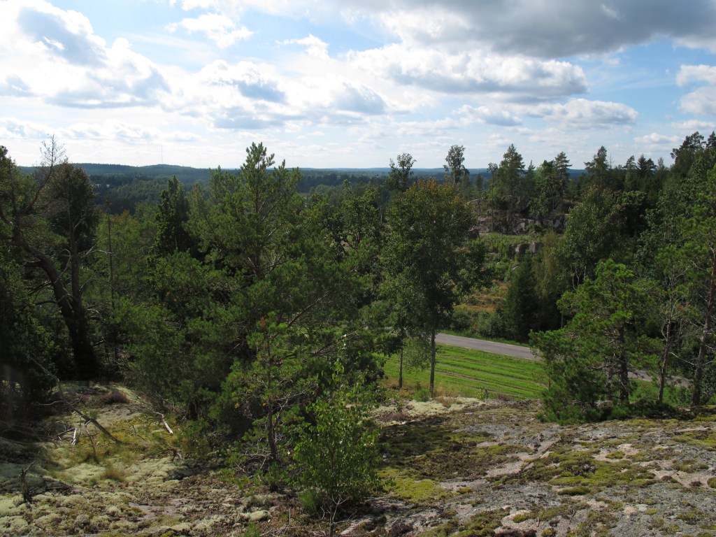 Blick vom Felsen auf die Schwedische Landschaft: So viel Landschaft und so viel Grün. (von Ronny Errmann)