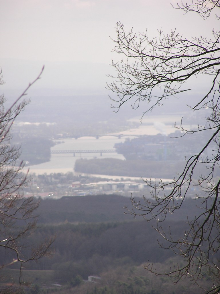 Blick von der Hohen Wurzel (Taunus) auf den Rhein zwischen Wiesbaden and Mainz, aufgenommen im März 2008 von Ronny Errmann