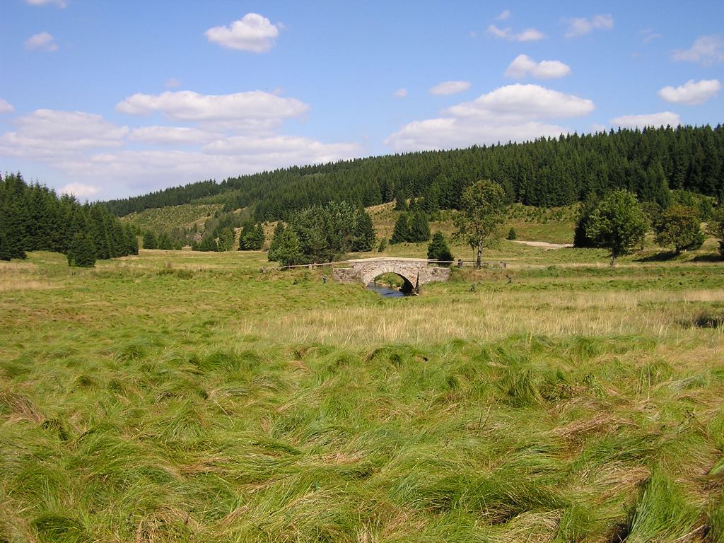 Landschaft entlang der Schwarzen Pockau, an der Grenze zwischen Tschechien und Deutschland.