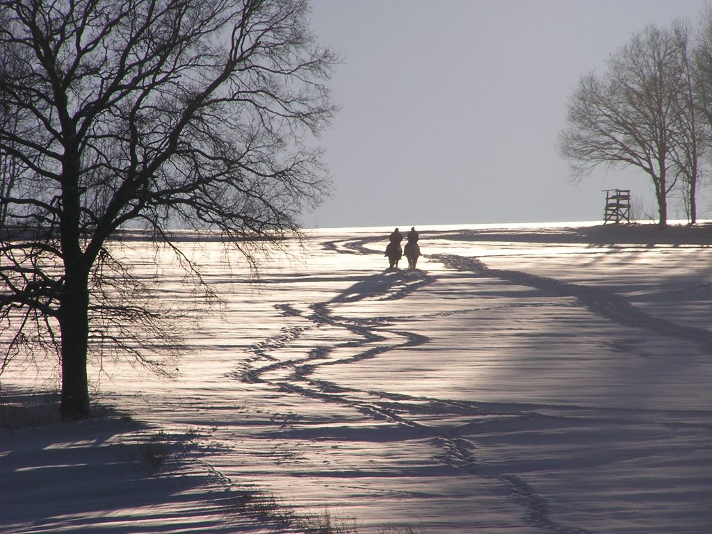 Erzgebirge 2010