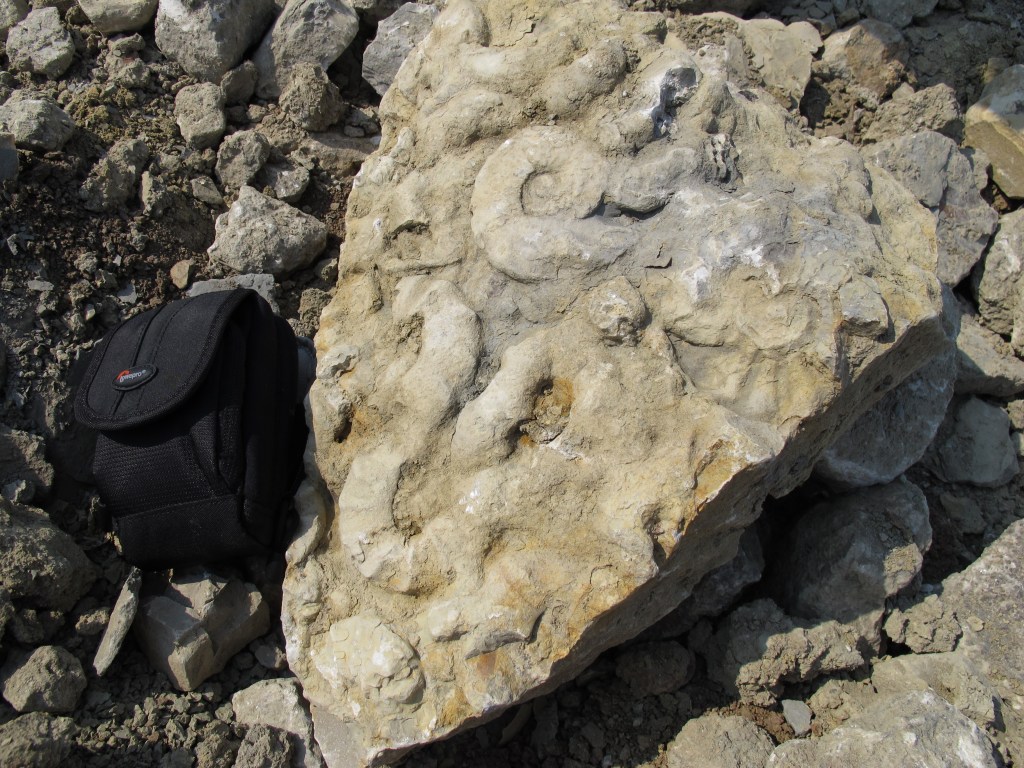 Das Leben unter unseren&nbsp;Füßen