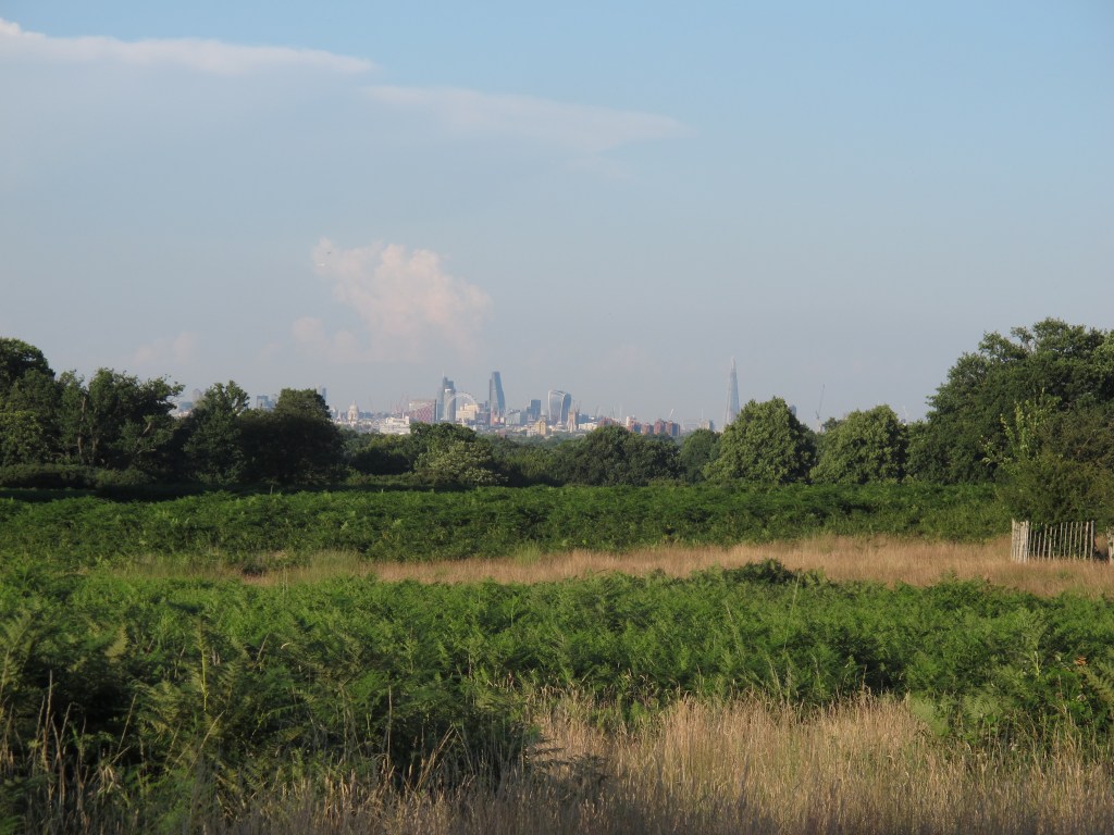 Sommernachmittag in Richmond Park (London, Vereinigtes Königreich) mit Blick auf die Londoner Skyline: links St Pauls, London Eye, Cheese Grater, Walkie Talky, Tower bridge, ganz rechts The Shard