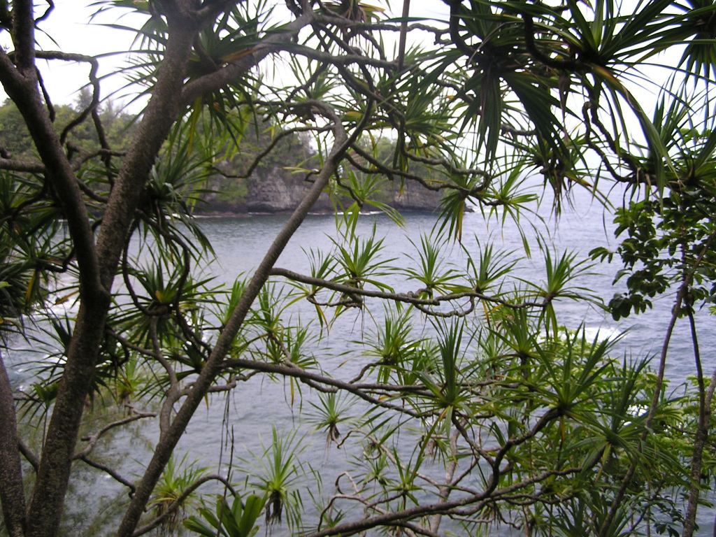 Westküste nördlich von Hilo, Big Island, Hawaii
