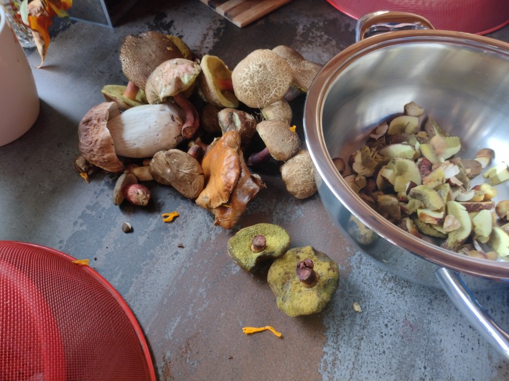 Erfolgreiches Sammeln