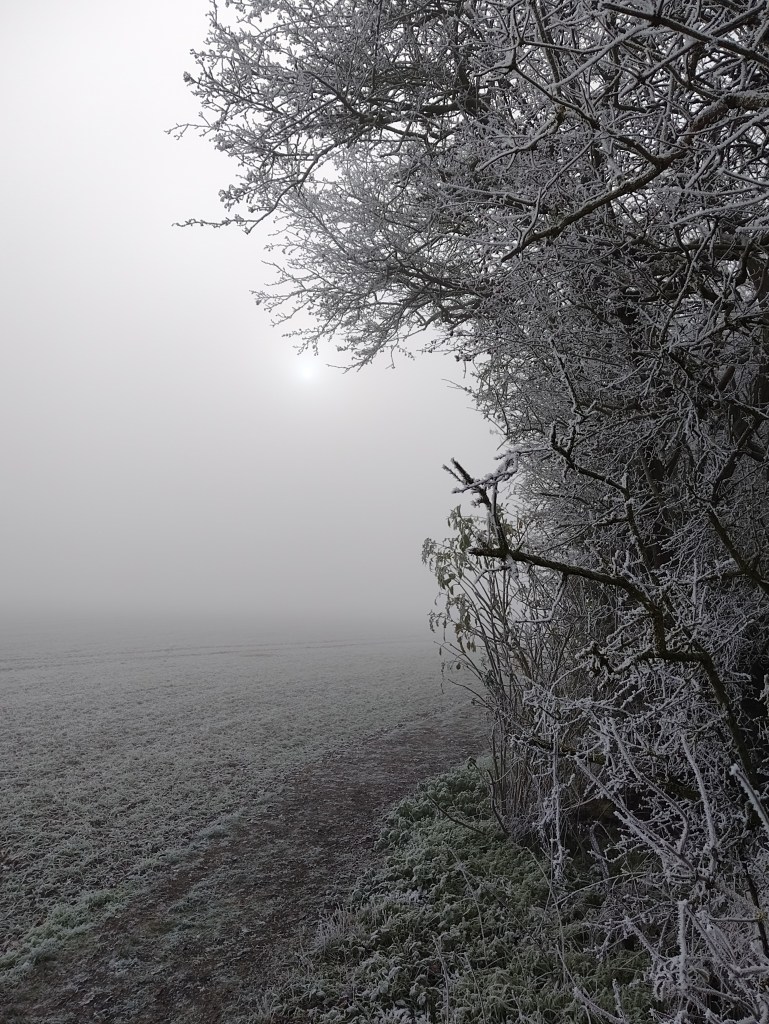 Ein klein wenig Sonnenschein kommt durch den frostigen Nebel