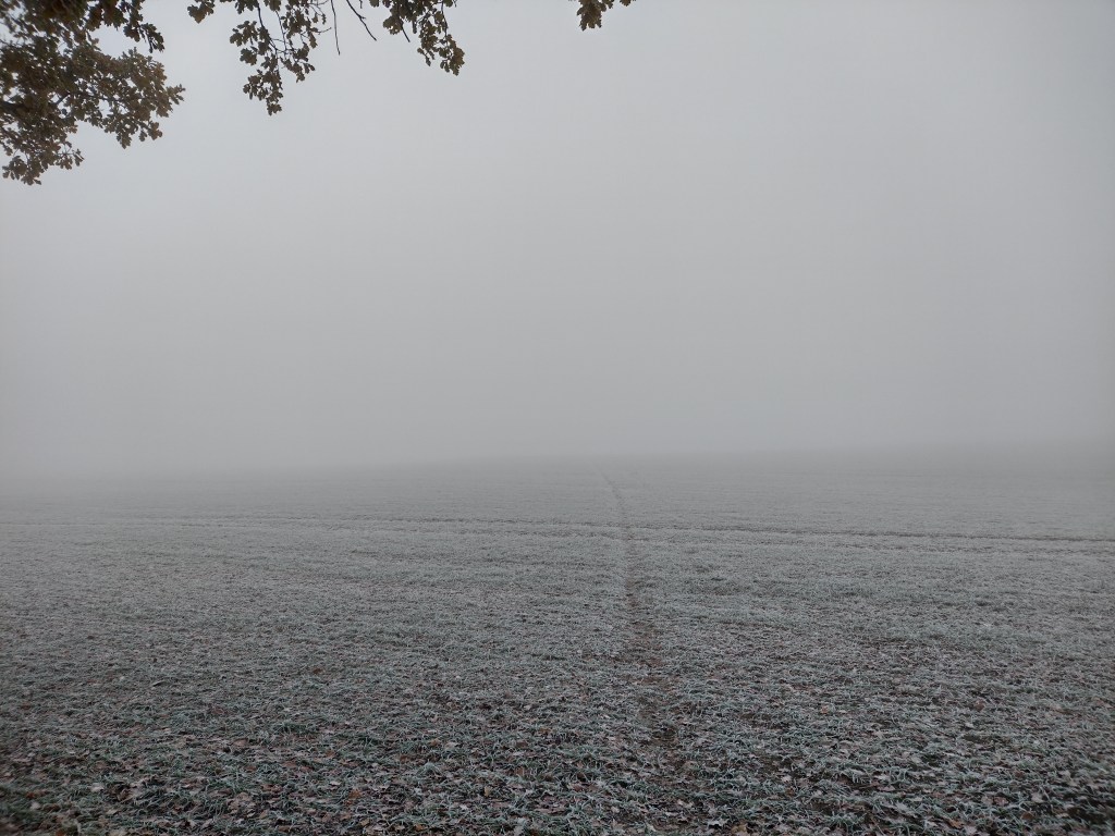 Ein Pfad ins Nirgendwo. In Großbritannien verlaufen Pfade auch mal quer übers Feld. Und da der Pfad nicht zu häufig benutzt wird, ist die Aussaht auf dem Weg nur geringfügig niedriger als daneben.